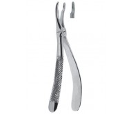 Extracting Forceps